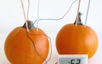 Pumpkin Clock STEAM Project