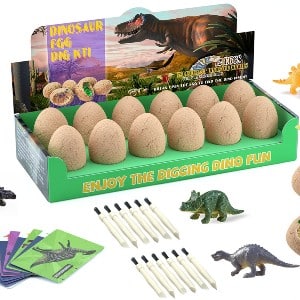 dinosaur eggs excavation kit wonder noggin