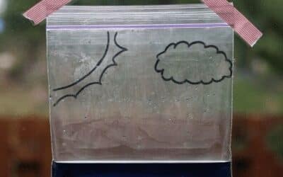 Water Cycle In A Bag