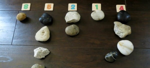 montessori counting math activities for preschoolers wonder noggin