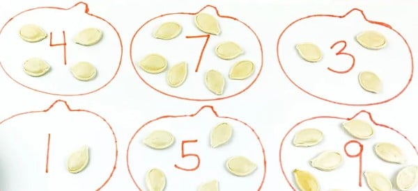preschool pumpkin seed number math activities for preschoolers wonder noggin